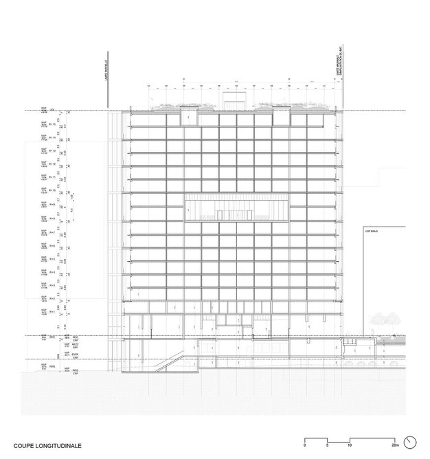 Longitudinal cross-section.
